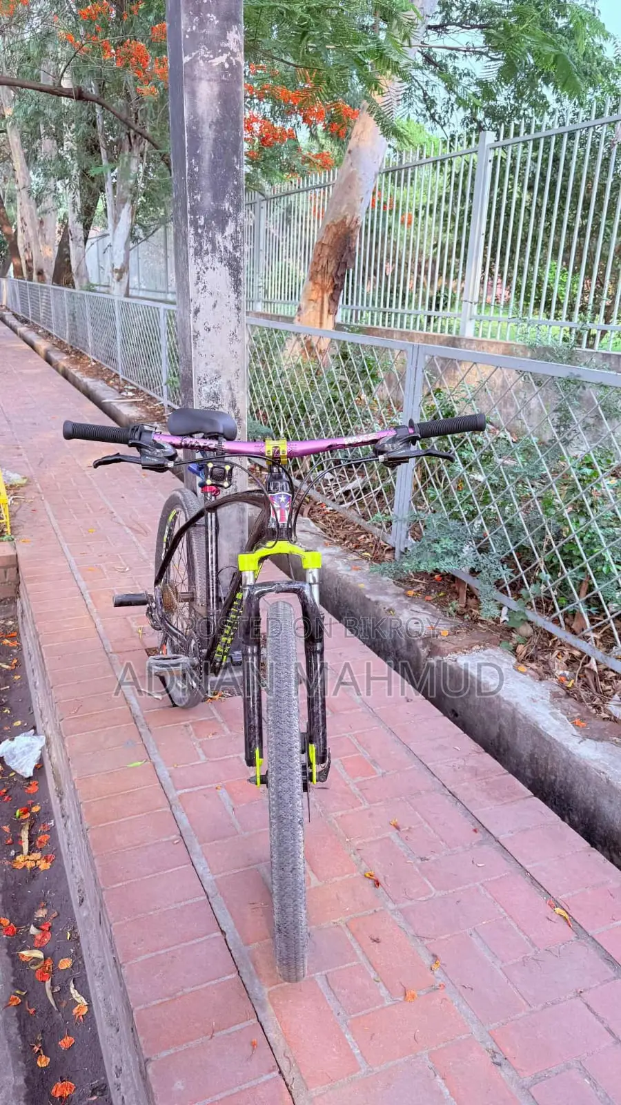 Veloce Cycle (MTB)