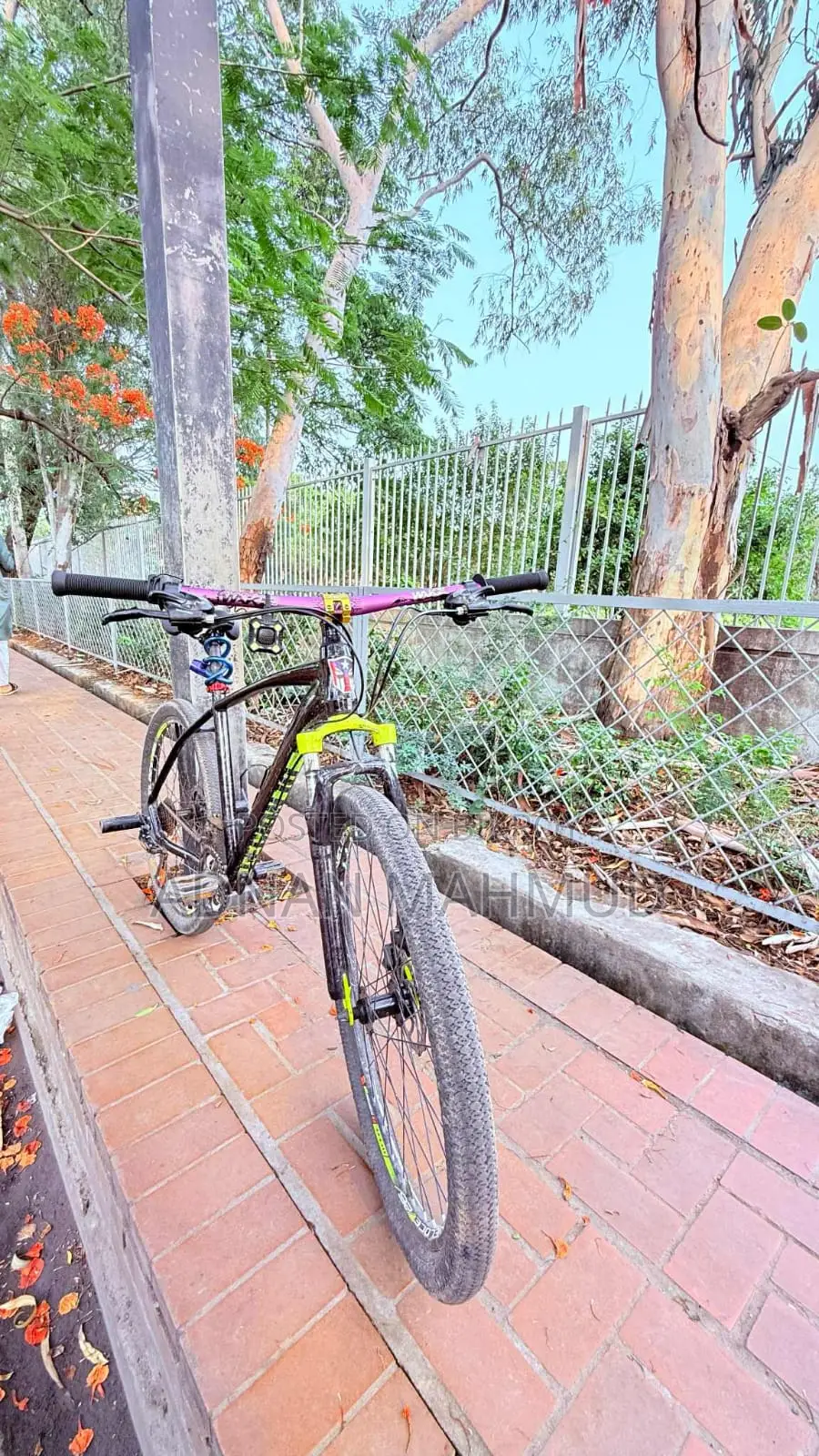 Veloce Cycle (MTB)