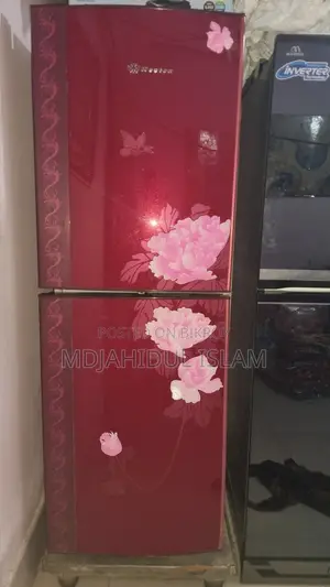 Western Freeze Double Door (Stopvoltager With Trolley)