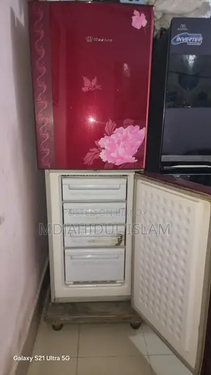 ওয়েস্টার্ন ফ্রিজ ডাবল ডোর (স্টপভোল্টেজসহ ট্রলি)
