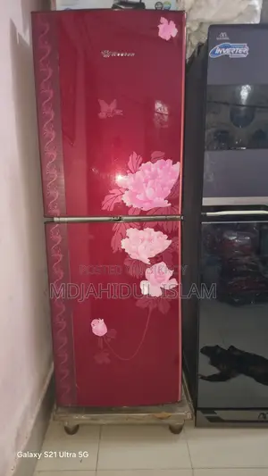 ওয়েস্টার্ন ফ্রিজ ডাবল ডোর (স্টপভোল্টেজসহ ট্রলি)