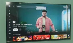LG, eco+ 43 Inse Google Smart Voice Control LED TV