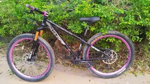 Stun Cycle