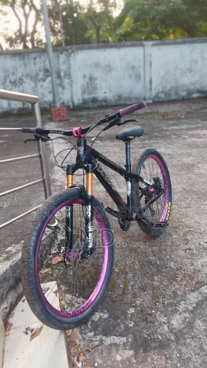 Stun Cycle