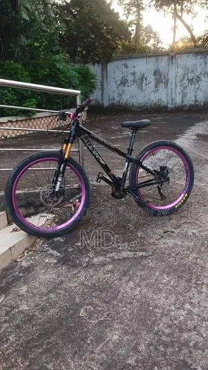 Stun Cycle