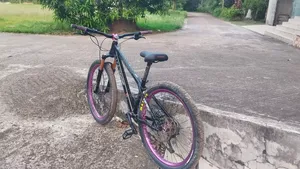 Stun Cycle
