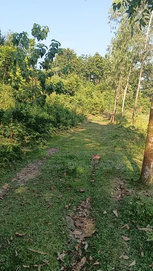 টেকনো স্পার্ক ৪০ প্রো+ ২৫৬ জিবি গ্রে