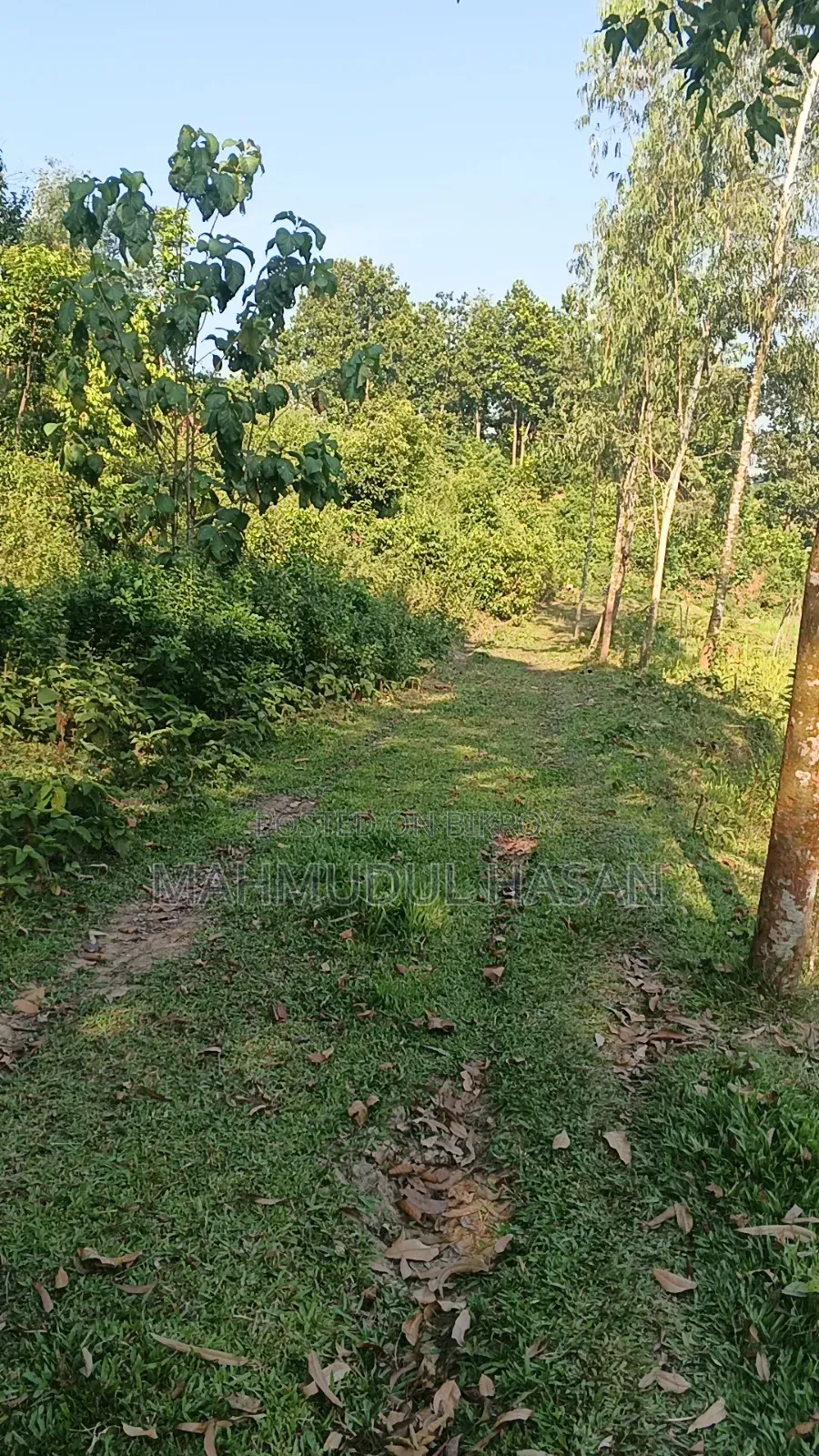 টেকনো স্পার্ক ৪০ প্রো+ ২৫৬ জিবি গ্রে