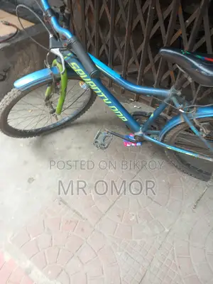 24 Running Bicycle