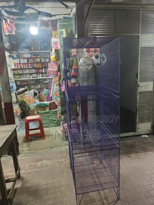Bird Cage