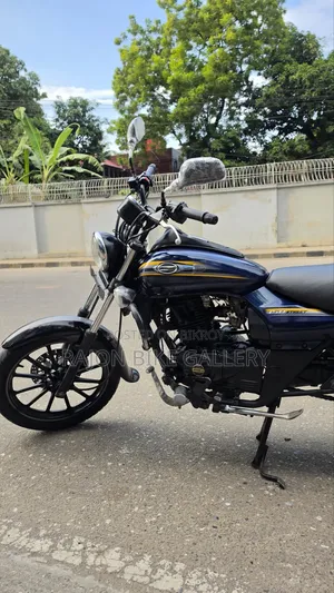 Bajaj Avenger 150 Street 2018 Blue