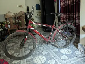 আর্জেন্ট সেল
