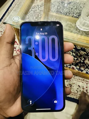 অ্যাপল আইফোন ১২ প্রো ২৫৬ জিবি গ্রাফাইট
