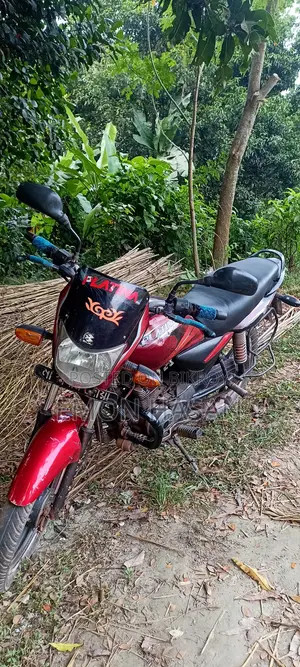 Bajaj Platina 100 2015