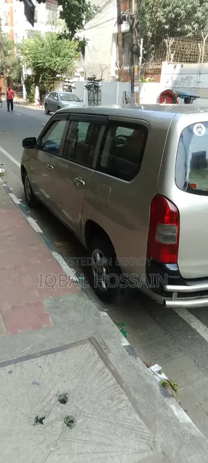 Toyota Probox 1.3 DX 2WD 2004 Gold
