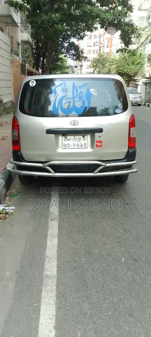 Toyota Probox 1.3 DX 2WD 2004 Gold