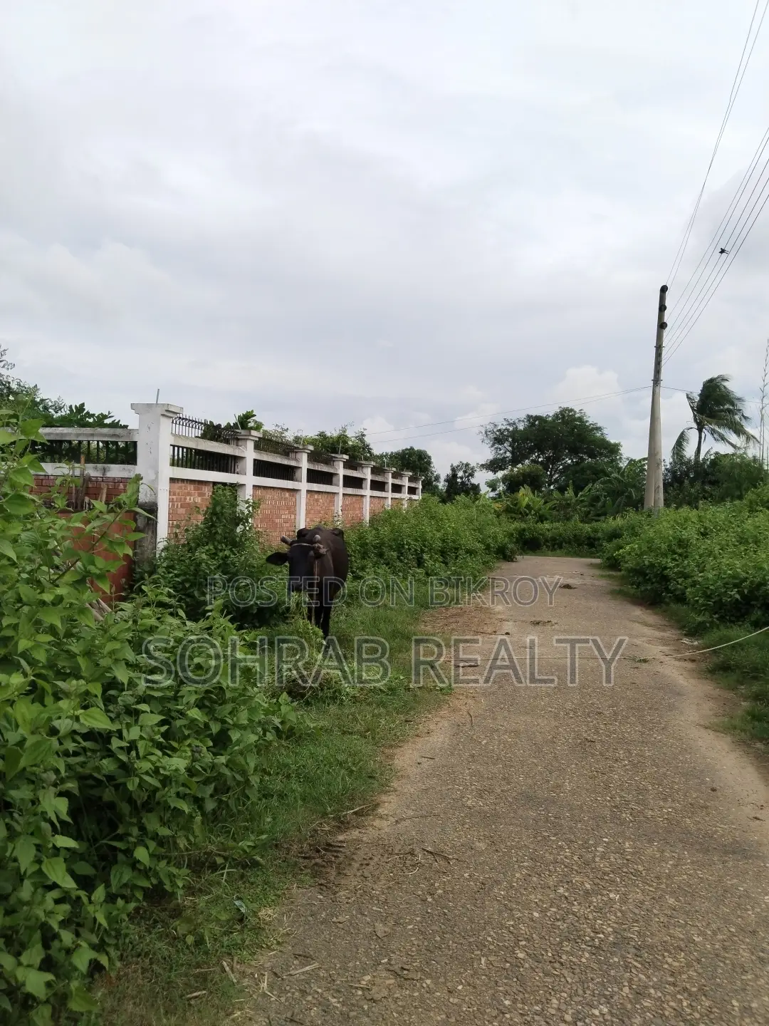 ৫ কাঠা উত্তরমুখী/৬০ ফুট রোড, সেক্টর #১৬/এ, উত্তরা।