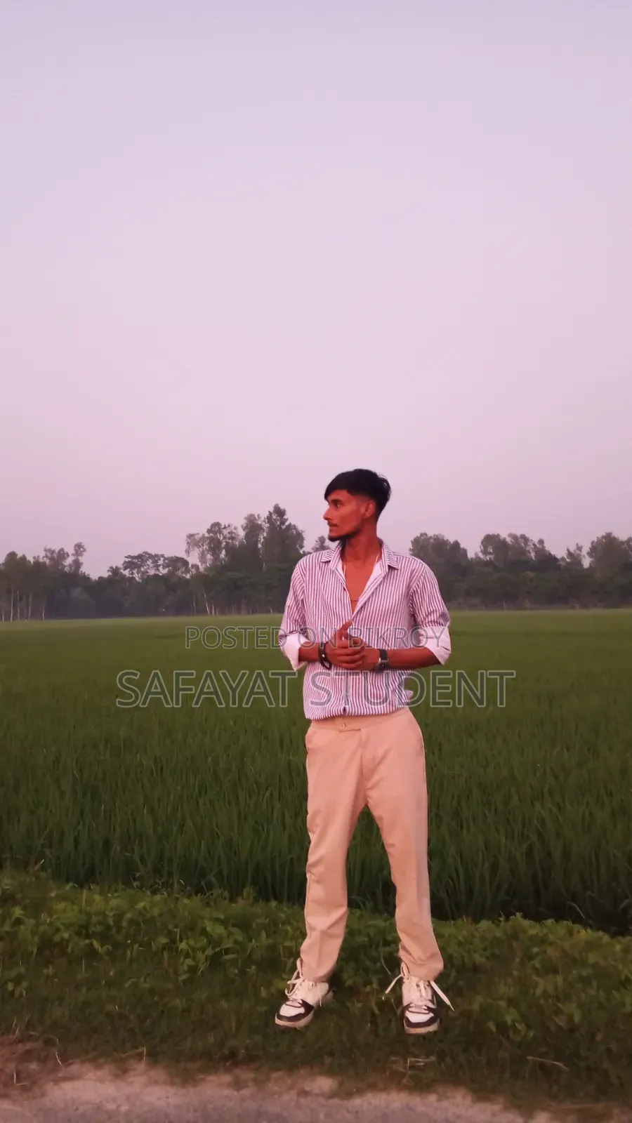 কোকাটেল ডিম বাচ্চা করা জোড়া
