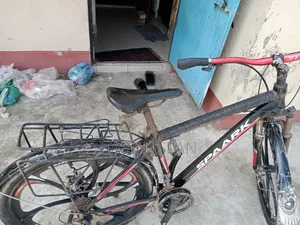 SX Park Mountain Bike for Sale