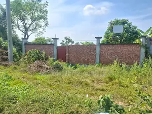 100 Feet Road 3 Katha Plot Sale Sec 28