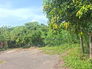 Corner Field View 3 Katha Purbacha Sec 9