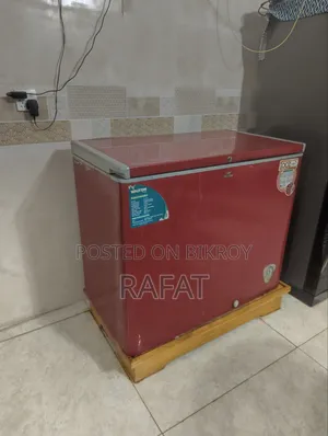 ওয়ালটনের রানিং বড় ডিপ ফ্রিজ বিক্রি হবে