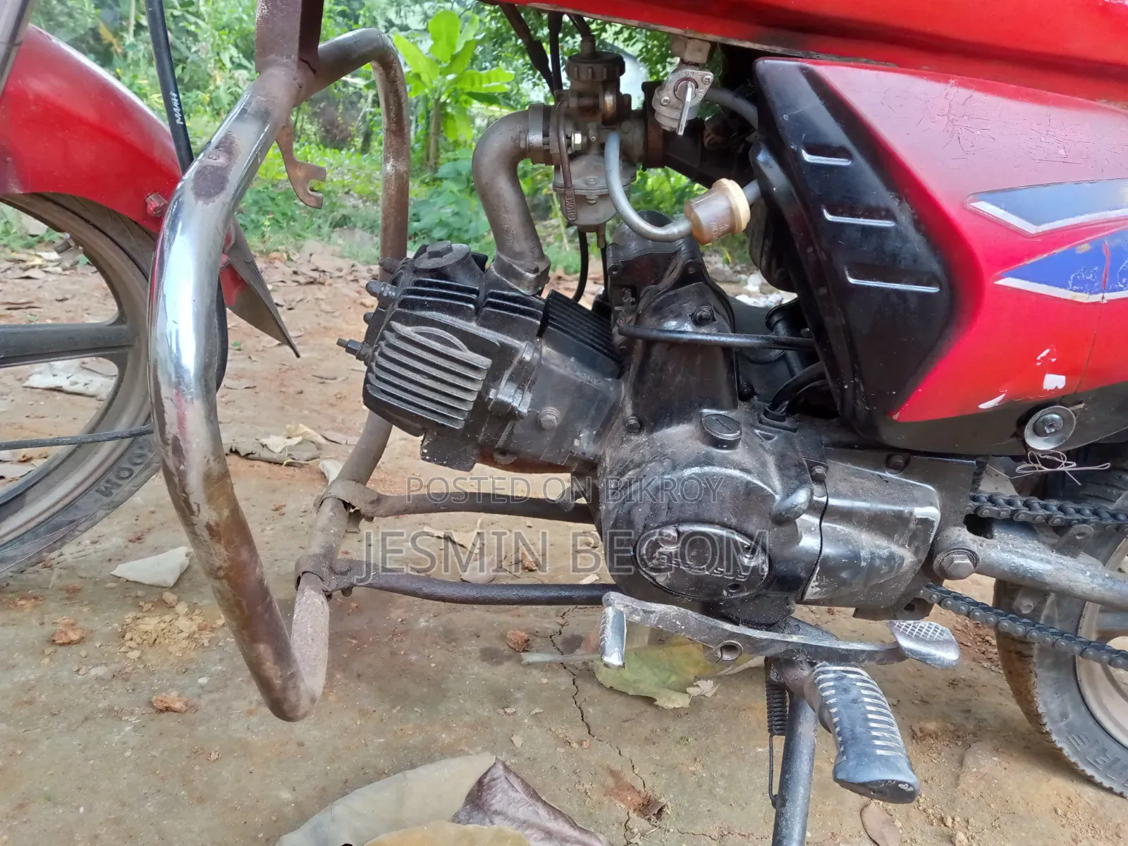 Jamuna VICTORY 80 2015 Red