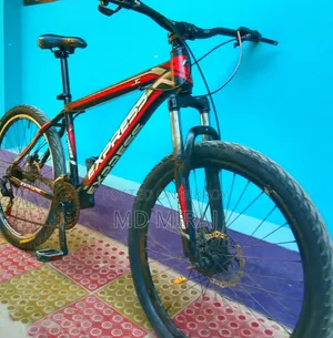 Express MTB Fresh Condition Bicycle for Sale