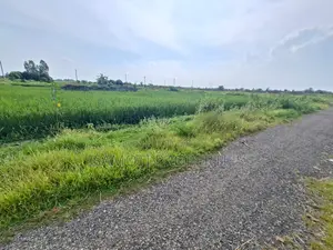 3 Katha Plot Sale Sector 21