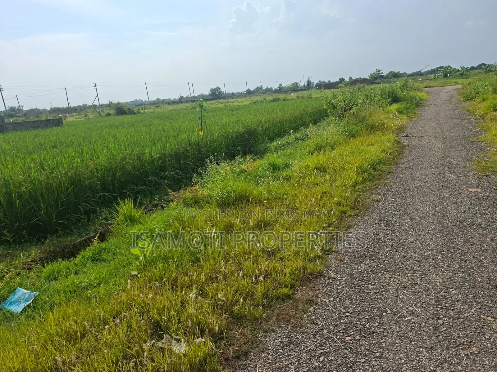 3 Katha Plot Sale Sector 21