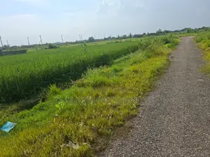 3 Katha Plot Sale Sector 21