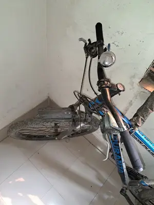 Duranta Gear Cycle