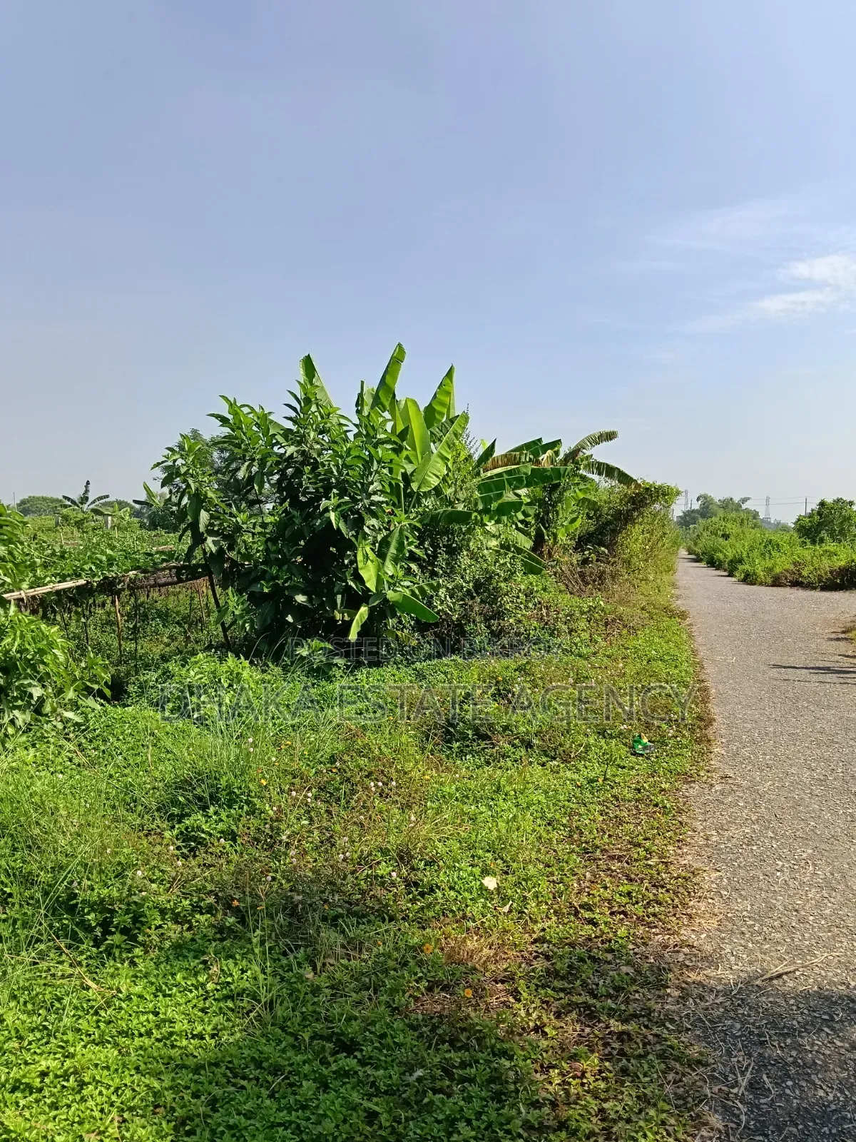 Sector-15, South/East Corner 3 Katha