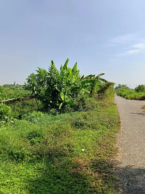 Sector-15, South/East Corner 3 Katha