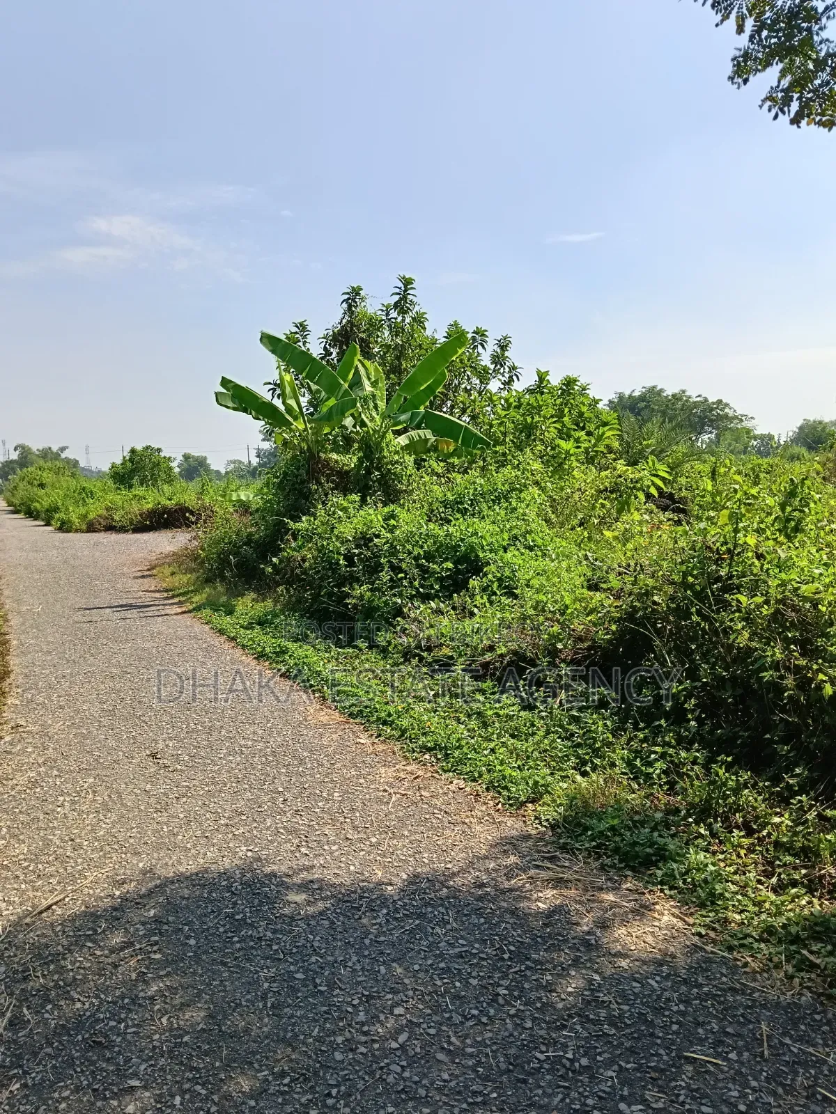 Sector-15, South/East Corner 3 Katha
