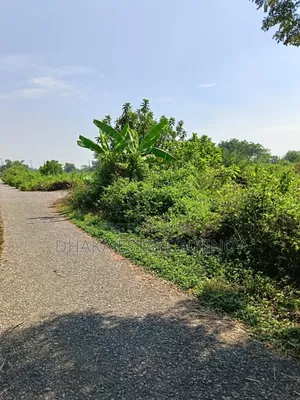 Sector-15, South/East Corner 3 Katha