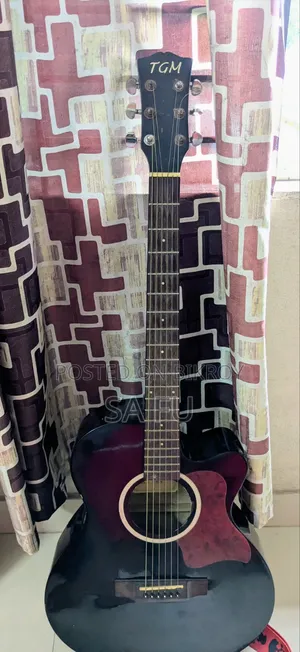 Guitar TGM