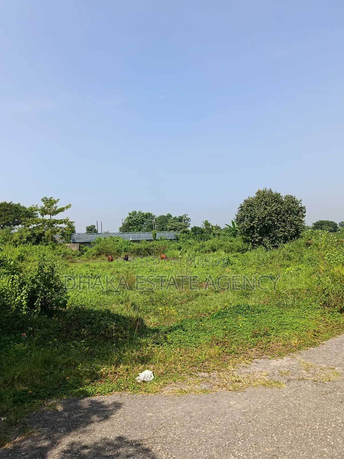 Sector-13, North Facing, 3 Katha, Plot Sale