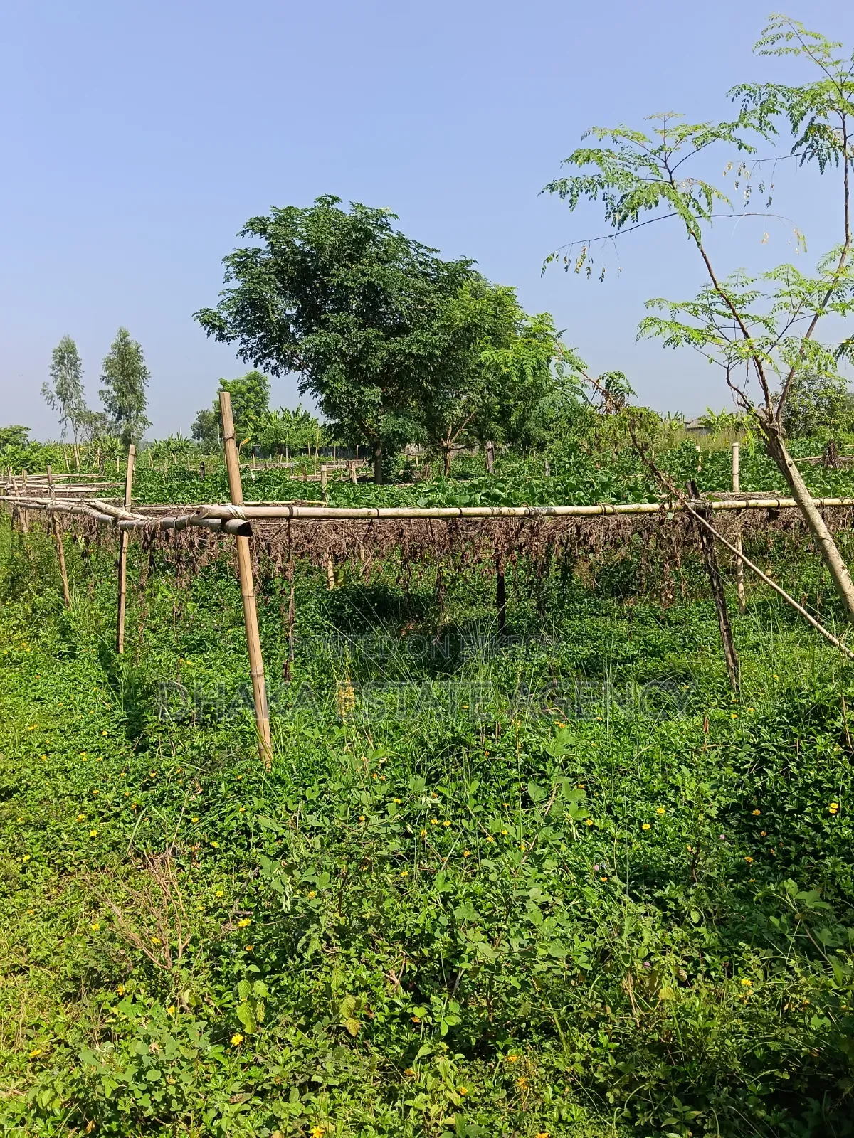 Sector-13, North Facing, 3 Katha, Plot Sale