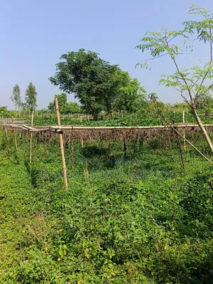 Sector-13, North Facing, 3 Katha, Plot Sale