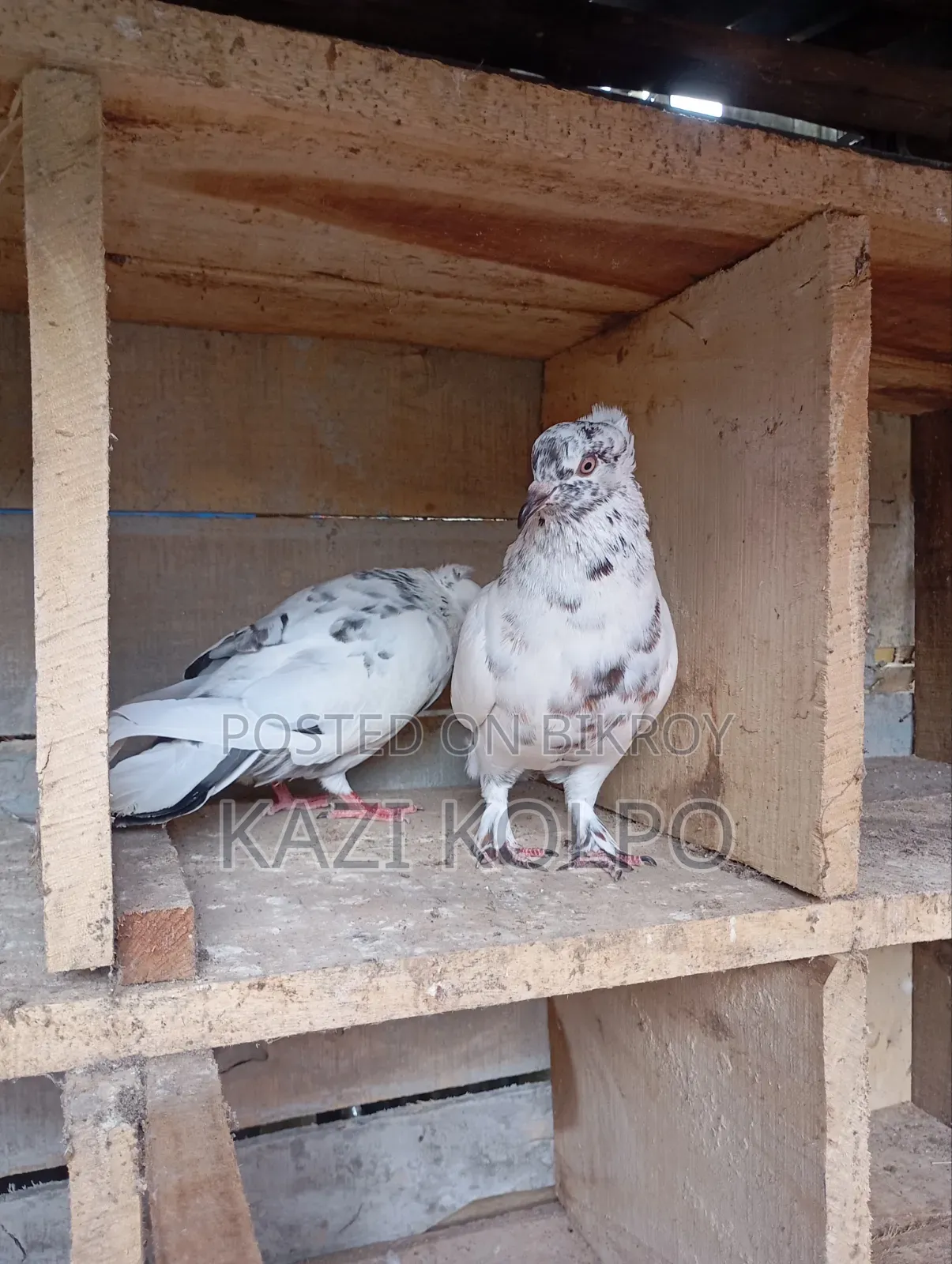 বিক্রি জন্য