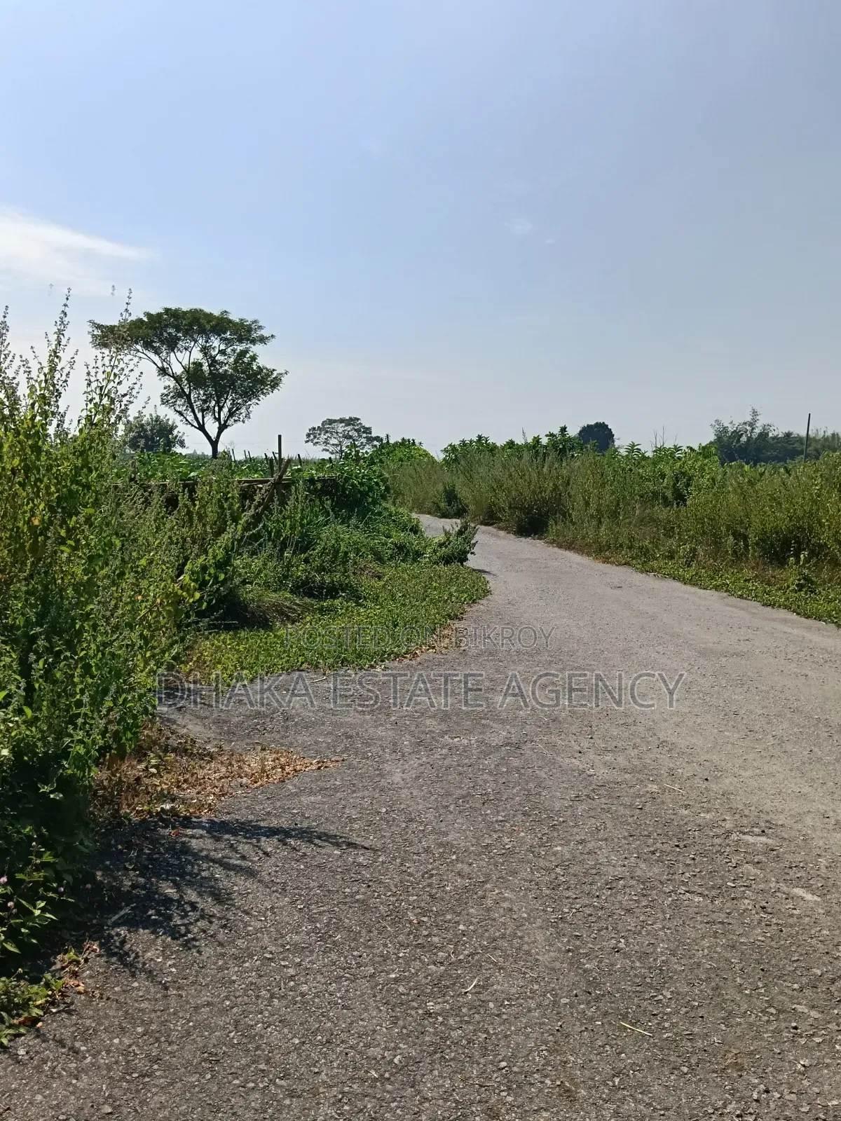 Sector-8, 3+3=6 Katha, Road Side-75 Feet,