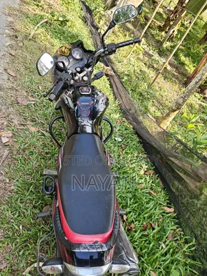 Indian 2018 Red