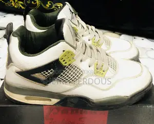 Jordan 4 Shoes