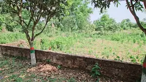 5 Katha Plot Sell at Krishibid West View, Birulia, Savar.