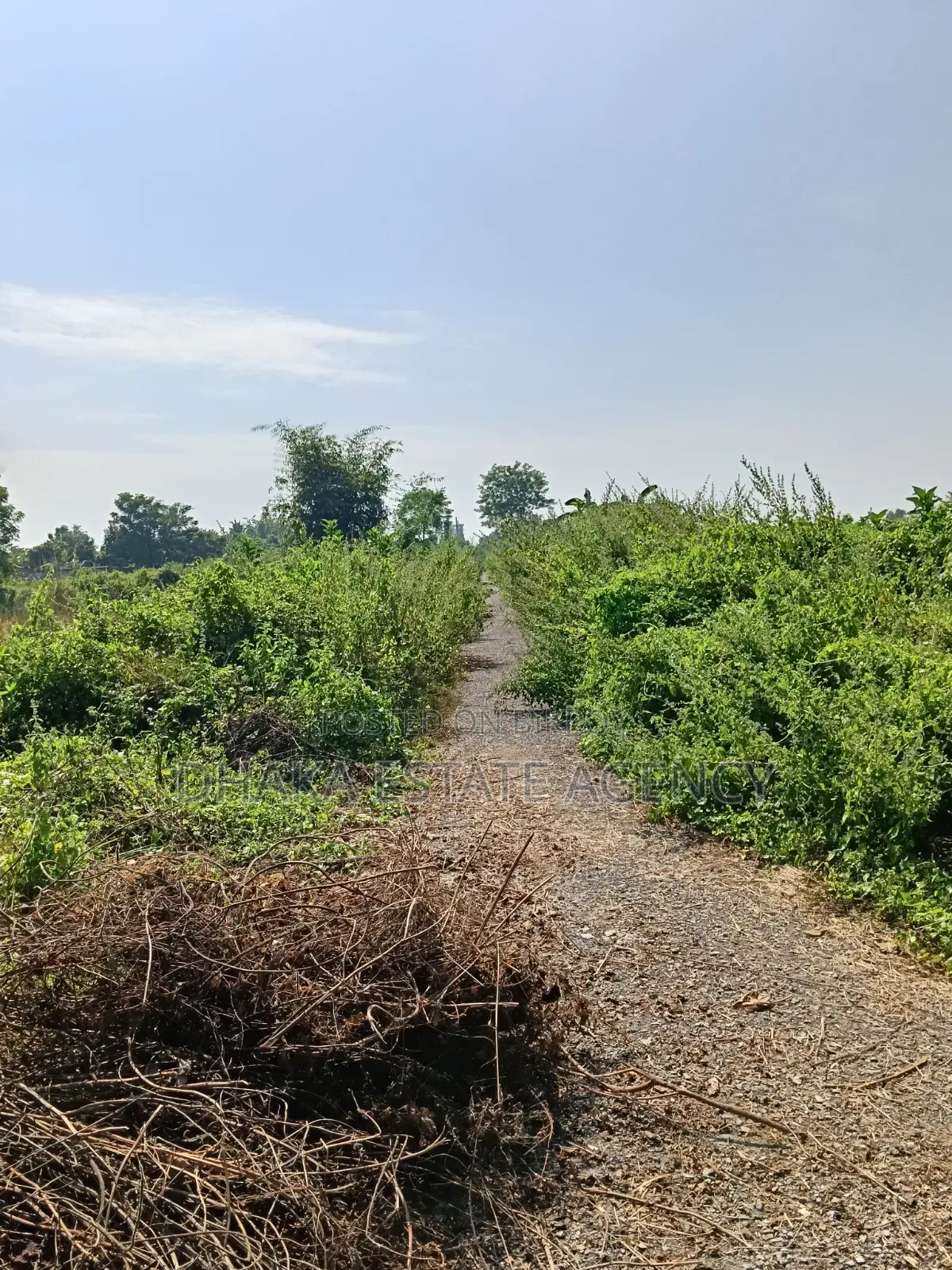 সেক্টর-১১, দক্ষিণমুখী, ৫ কাঠা, প্লট বিক্রি