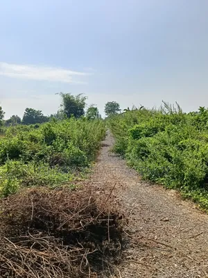 সেক্টর-১১, দক্ষিণমুখী, ৫ কাঠা, প্লট বিক্রি