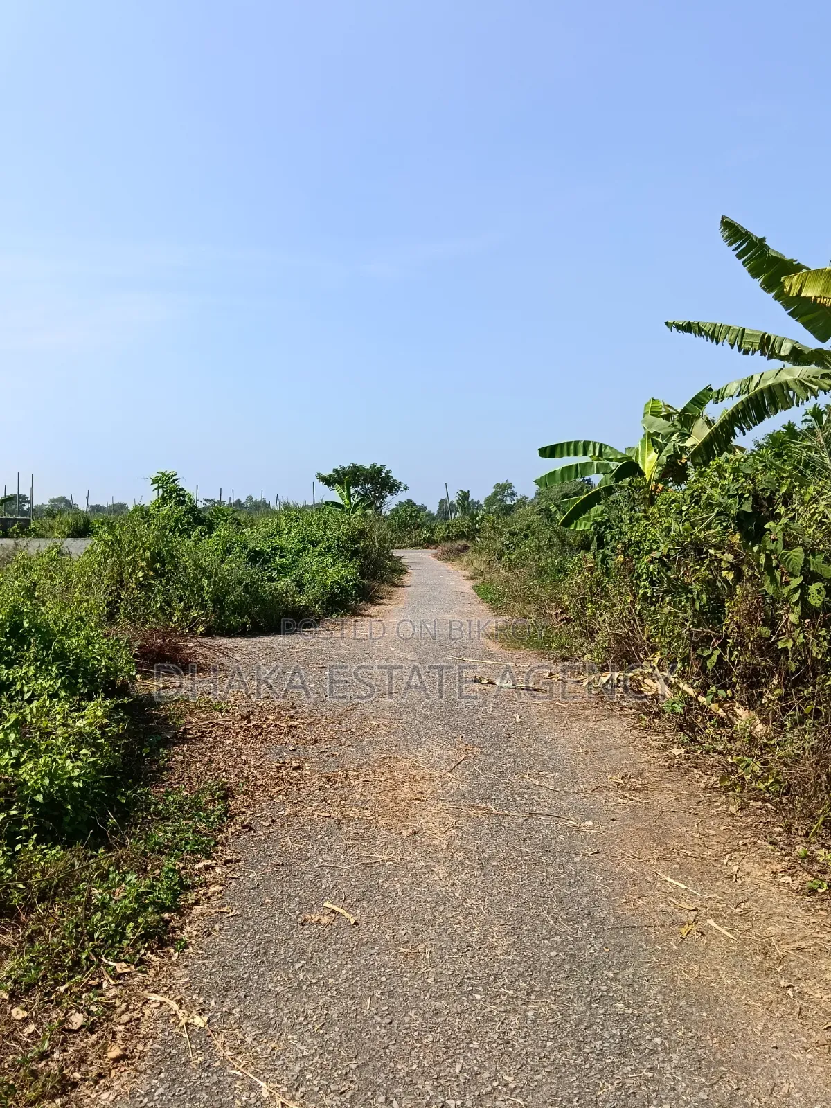 সেক্টর-১১, দক্ষিণমুখী, ৫ কাঠা, প্লট বিক্রি