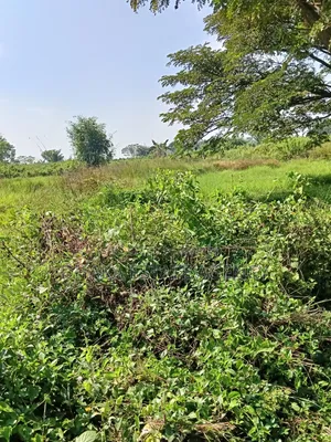 Sector 13, 3 Katha, Box Corner, South West Plot Sale