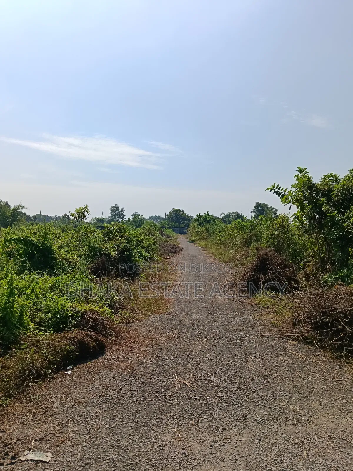 Sector 13, 3 Katha, Box Corner, South West Plot Sale